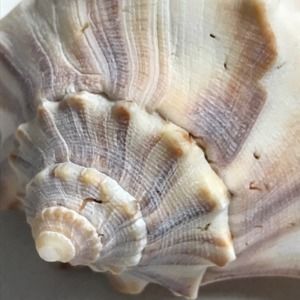 Meet your Posher, Alana